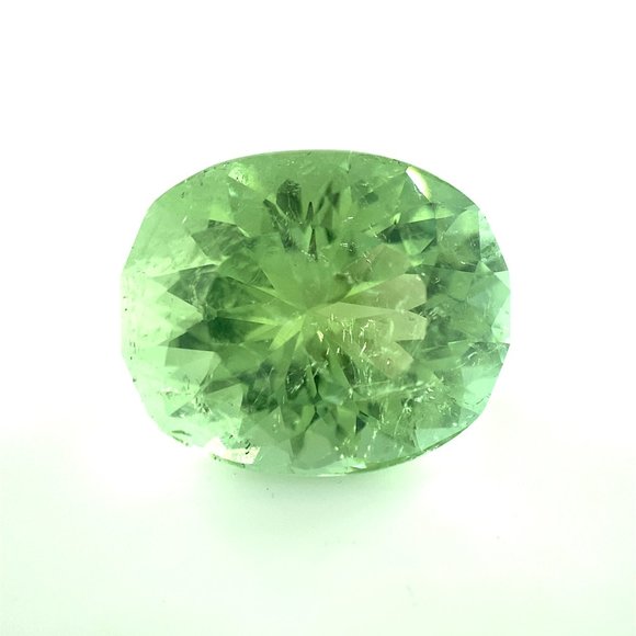 Green Tourmaline 8.60ct - Picture 1 of 6